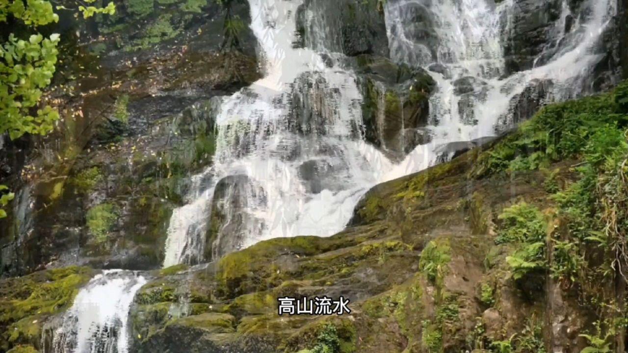 拯救孩子詹姆斯