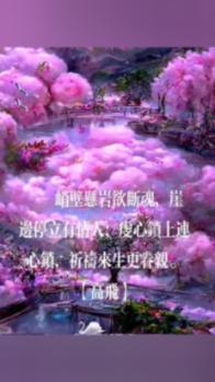 乐儿打彩蛋